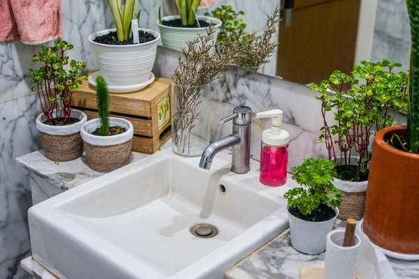Collect Herbs By The Sink 