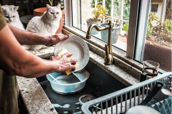 Dish Soap For Soap Buildup 