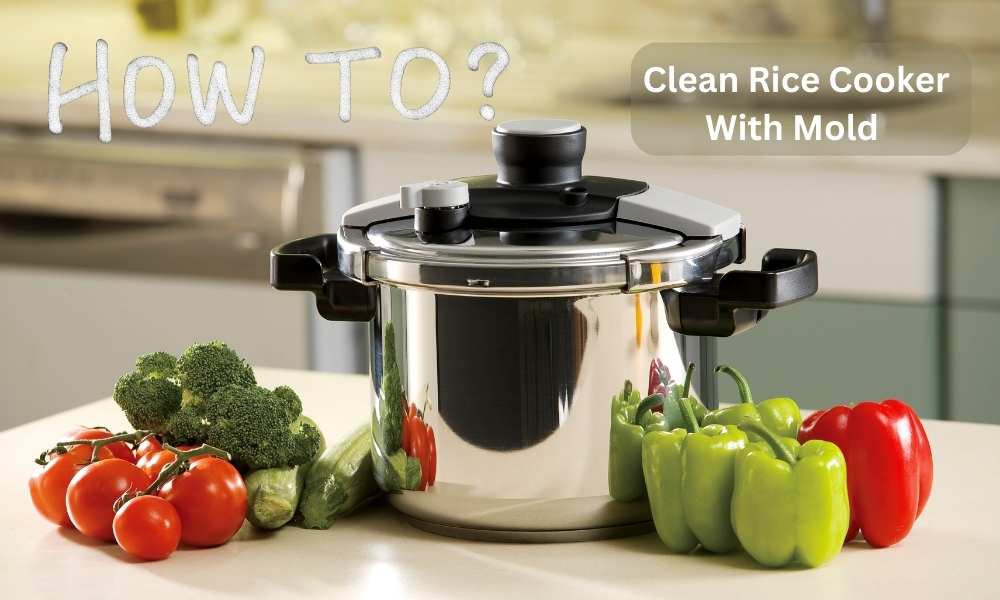 How To Clean Rice Cooker With Mold