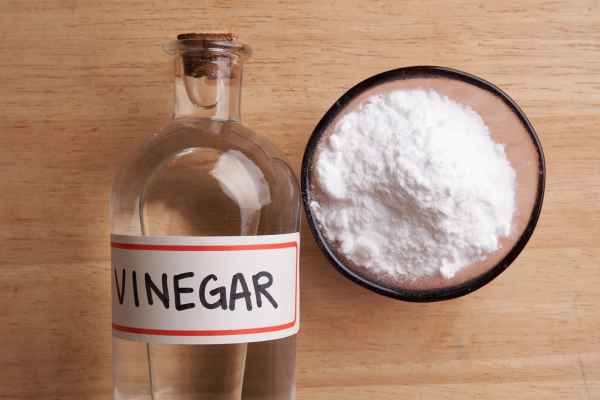 Vinegar Solution To Get Rid Of Ants In Kitchen