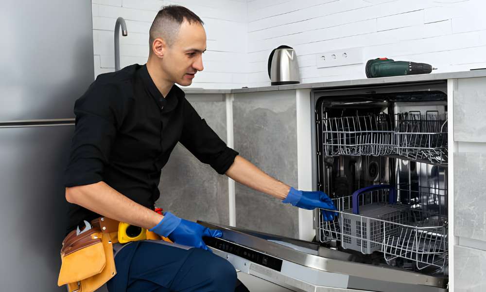 How To Clean Bosch Dishwasher With Vinegar And Baking Soda 