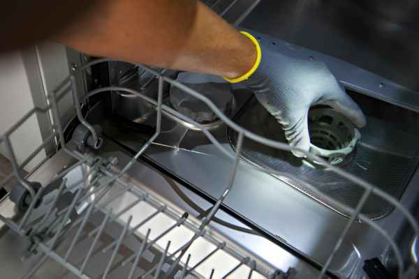 Unplug the Dishwasher