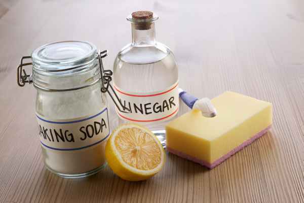 Run a Baking Soda and Vinegar Cycle